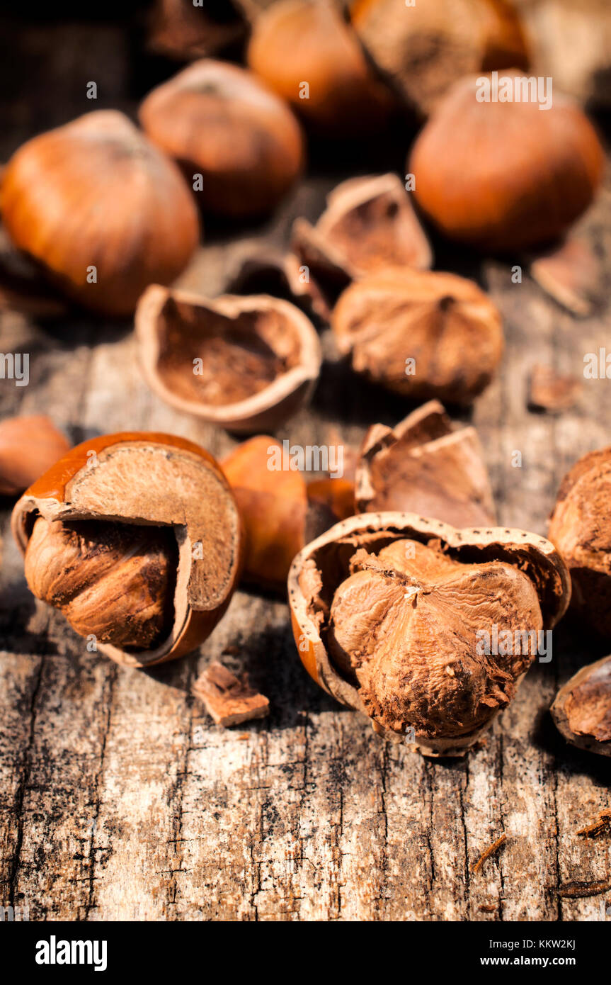 Selective focus on the front raw hazelnut in shell Stock Photo
