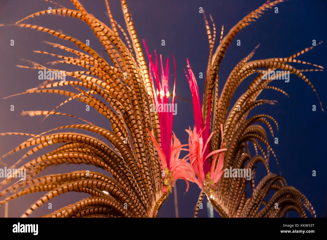 golden feathers of carnival over the night illuminated sky Stock Photo ...