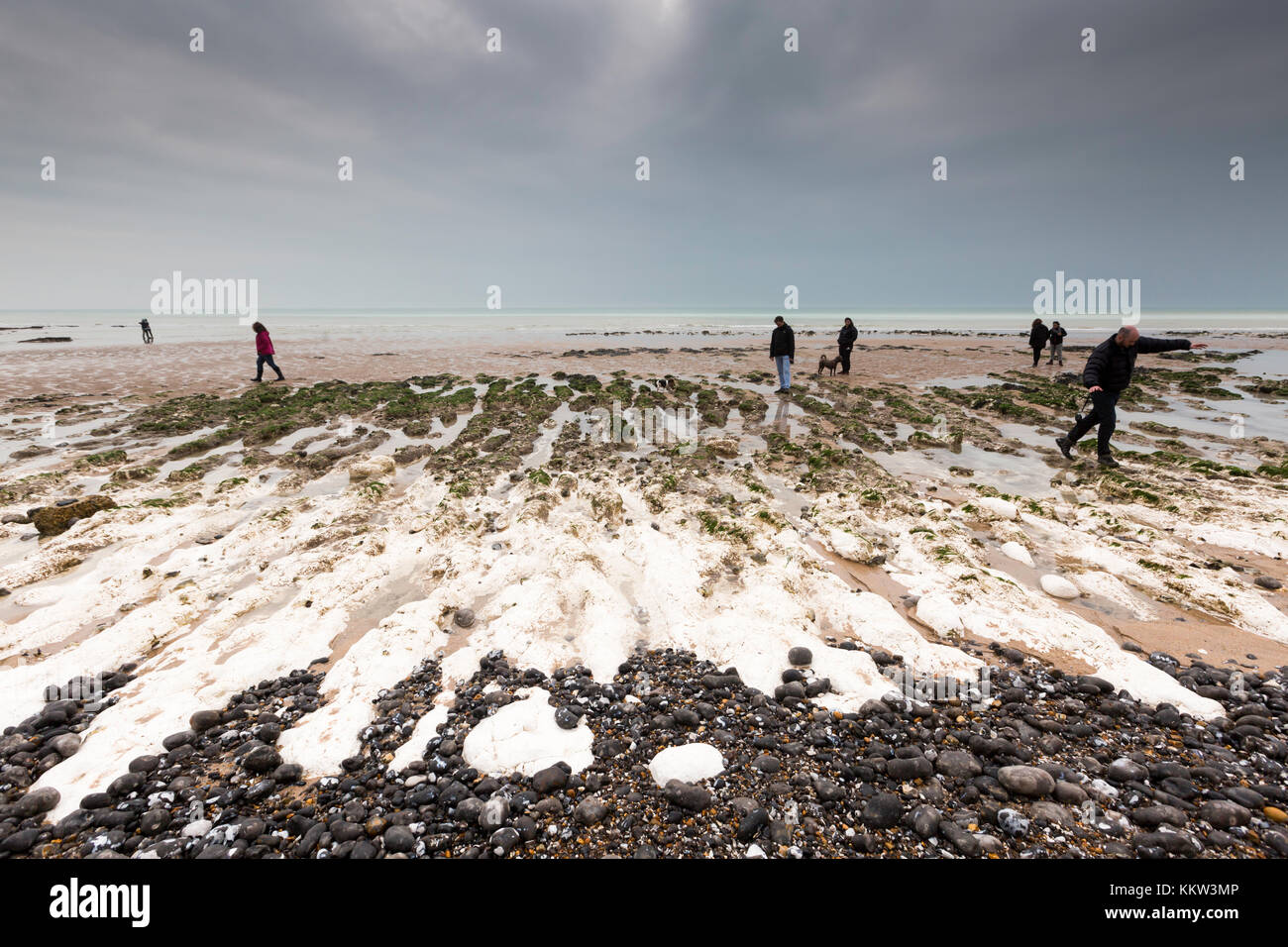 People walking on and near the wave cut platform with the tide out at Birling Gap, East Sussex, UK Stock Photo