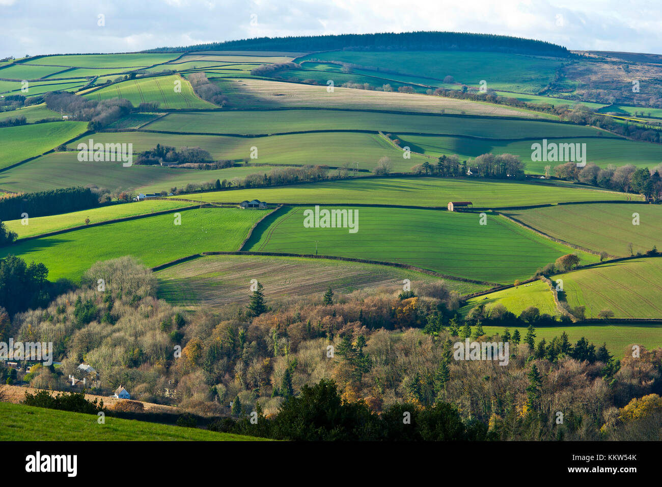 Exmoor near the village of Roadwater, Somerset Stock Photo - Alamy