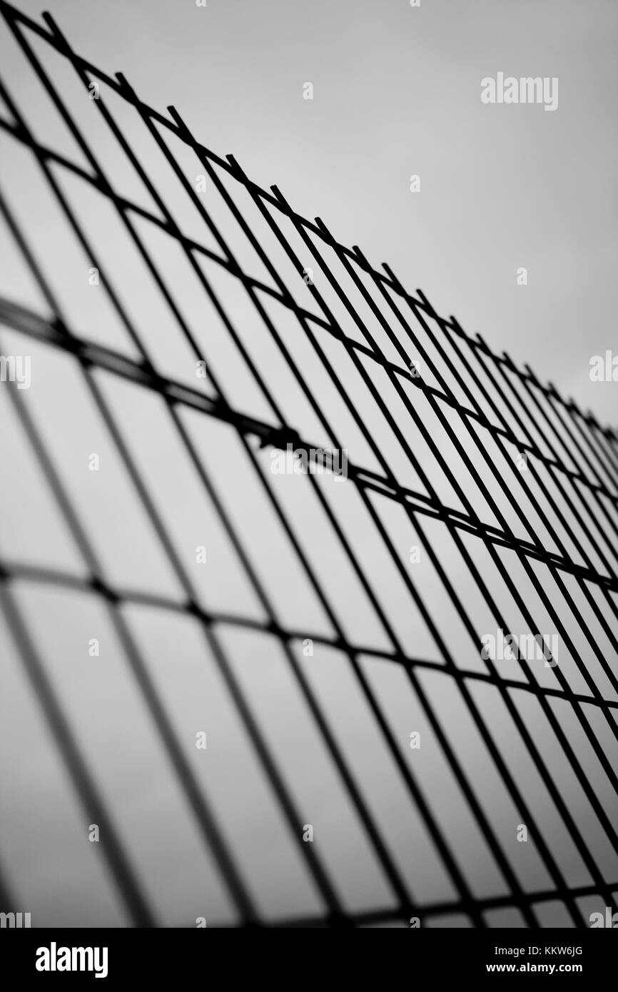 Iron mesh with photographic gradient. Stock Photo