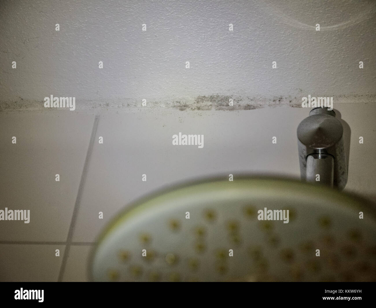 mold fungus in the shower Stock Photo