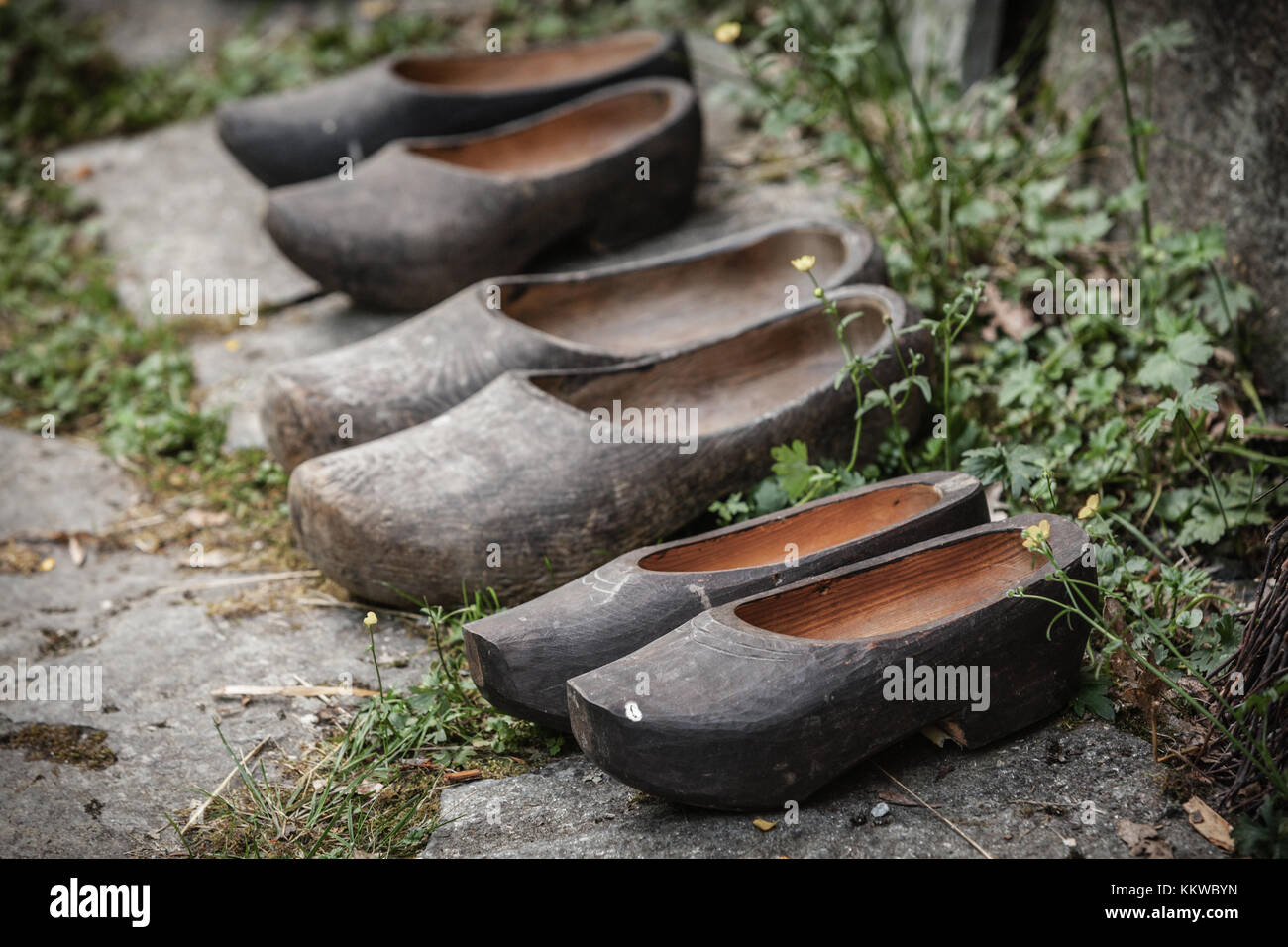 Regional tradition and culture, handmade concept. Wooden dutch shoes ...