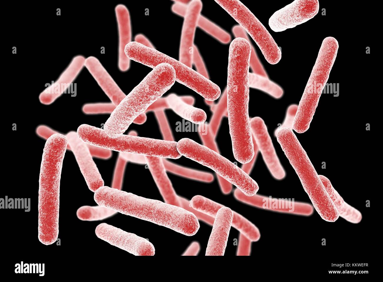 Mycobacterium chimaera bacteria, computer illustration. This bacterium