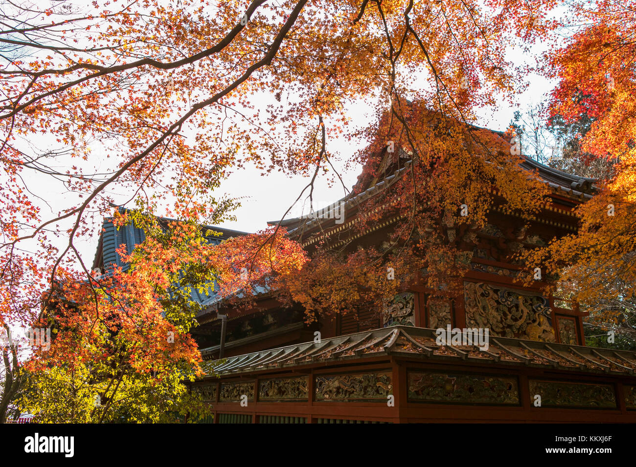 Mount Takao, Japan. 2nd December, 2017. Autumn foliage can still be seen on Mount Takao in Japan in December. Credit: Yuichiro Tashiro Credit: y.location/Alamy Live News Stock Photo
