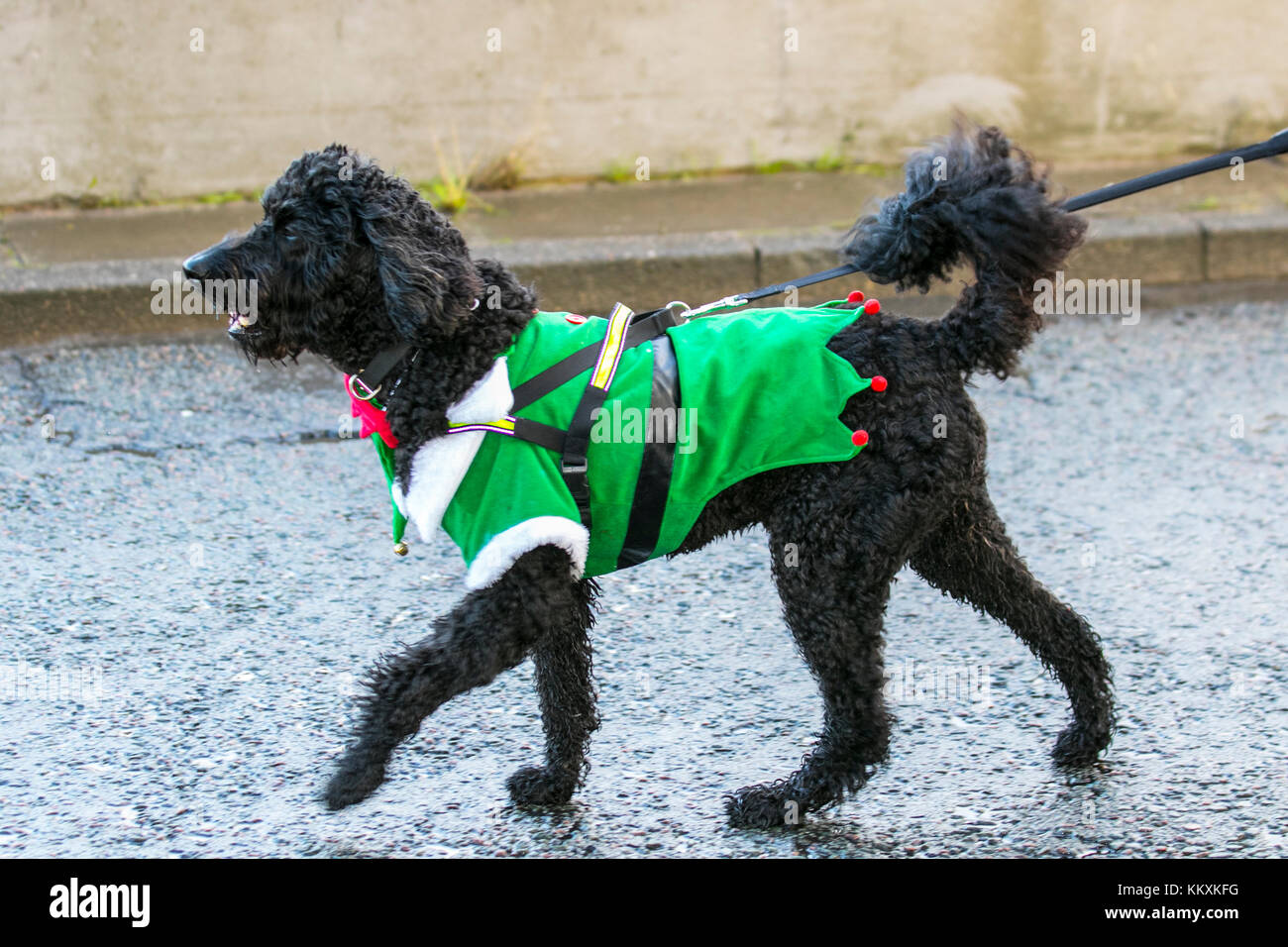 Runner Wearing Fancy Dress High Resolution Stock Photography and Images -  Alamy