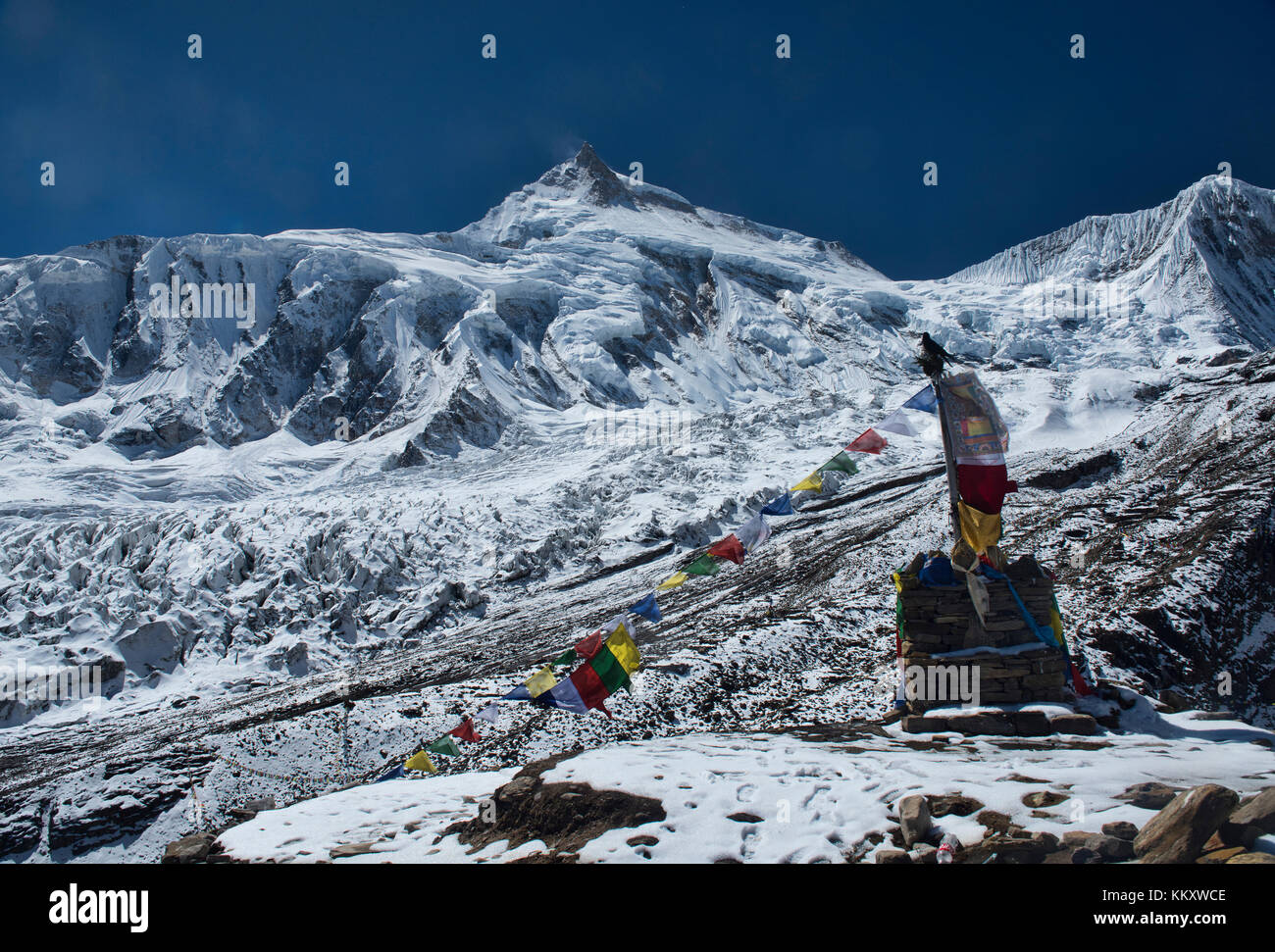 Manaslu, world's eighth highest peak (8,163 metres), seen from Manaslu  Basecamp on the Manaslu Circuit Trail, Nepal Stock Photo - Alamy