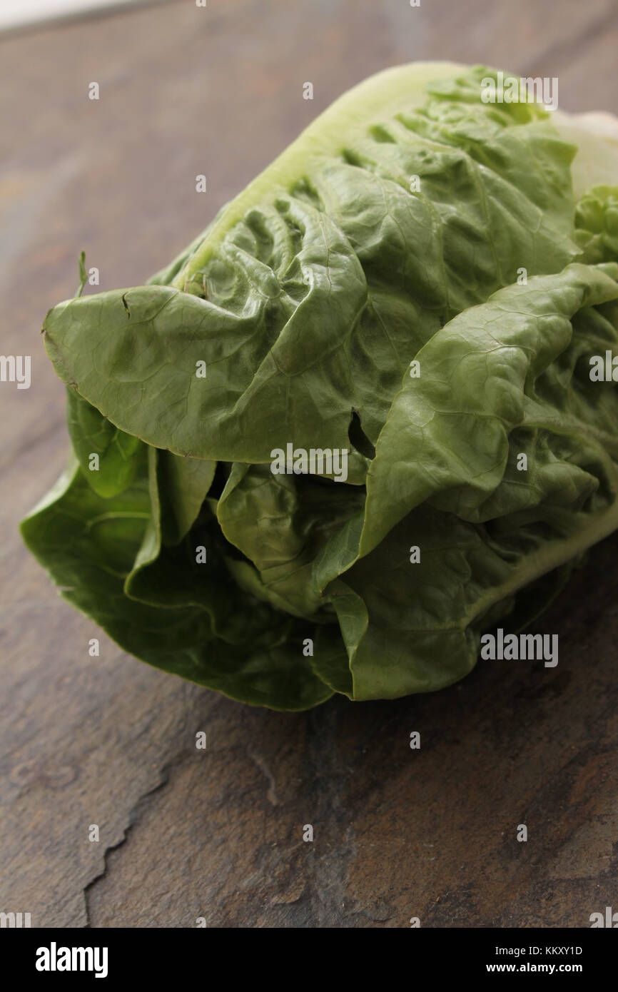 fresh lettuce salad leaves Stock Photo - Alamy