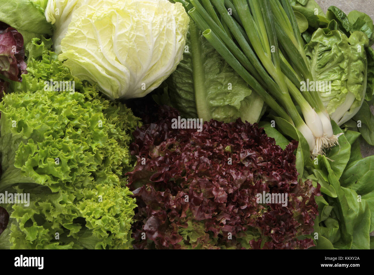 fresh picked whole lettuce varietys Stock Photo - Alamy
