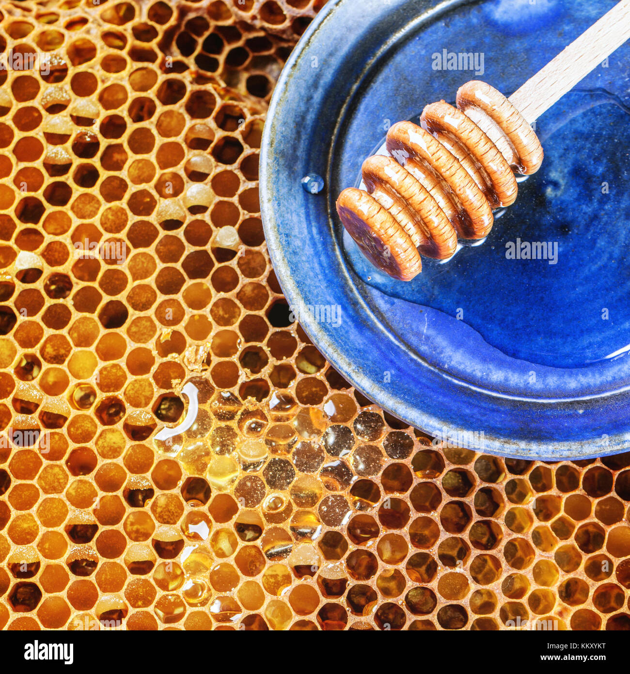 Honeycombs with honey, bee and wooden honey dipper over blue ceramic plate. Square image Stock Photo