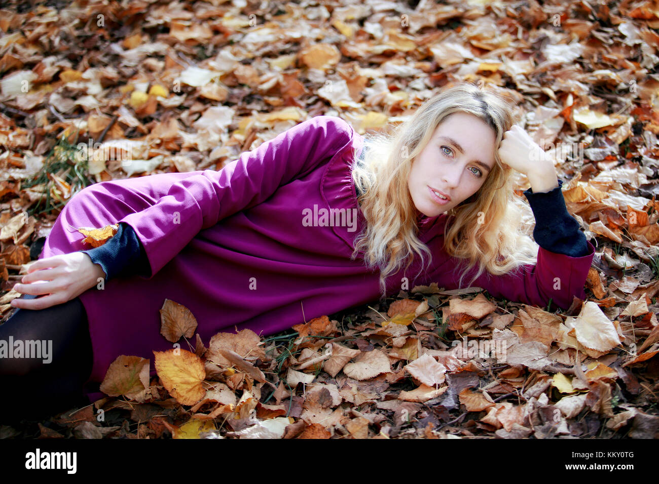 Blonde girl distracted between dry autumn leaves, gorgeous portrait, looking at camera. Stock Photo