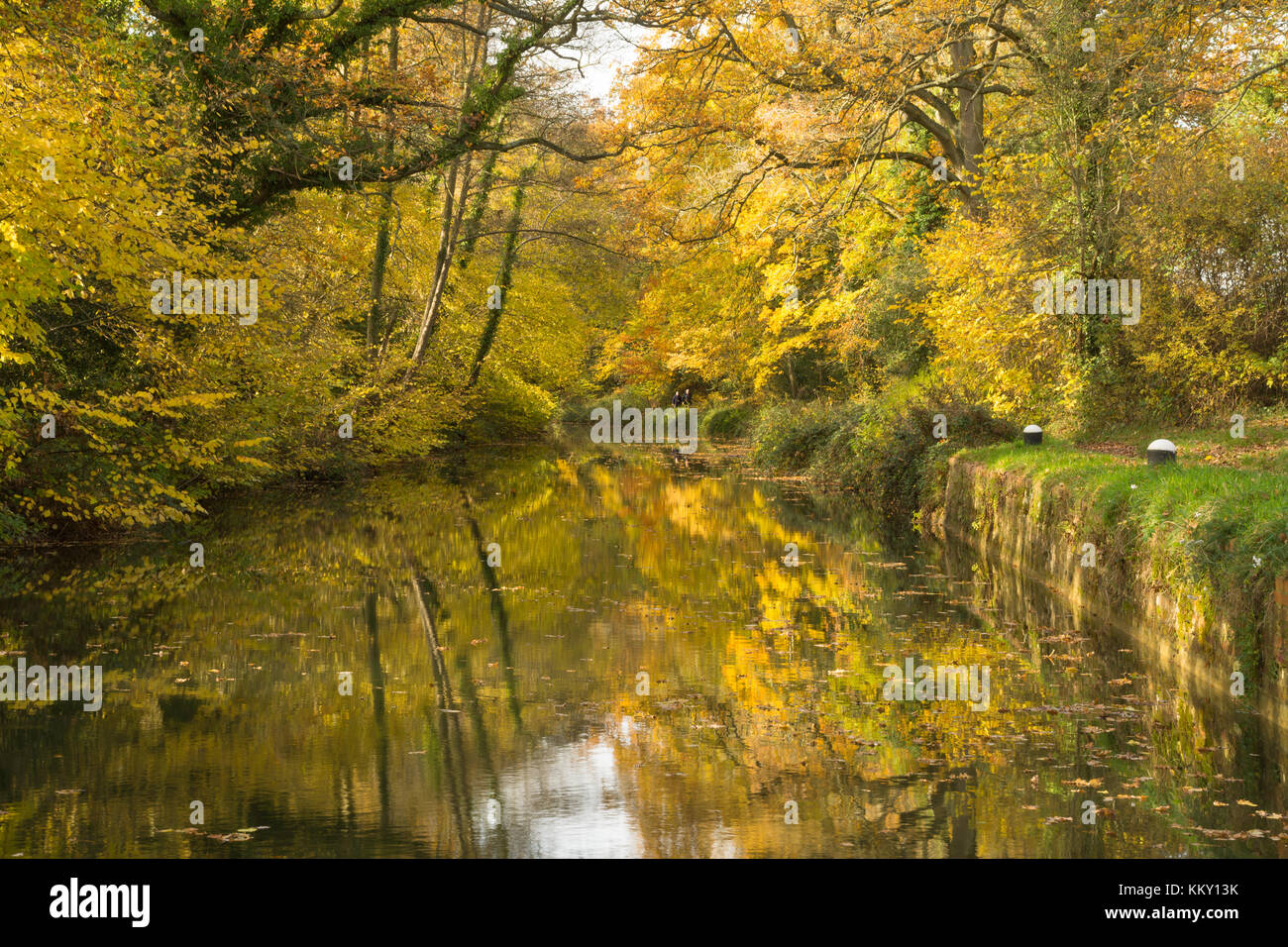 View of the Basingstoke Canal at Crookham in Hampshire with autumn colours Stock Photo