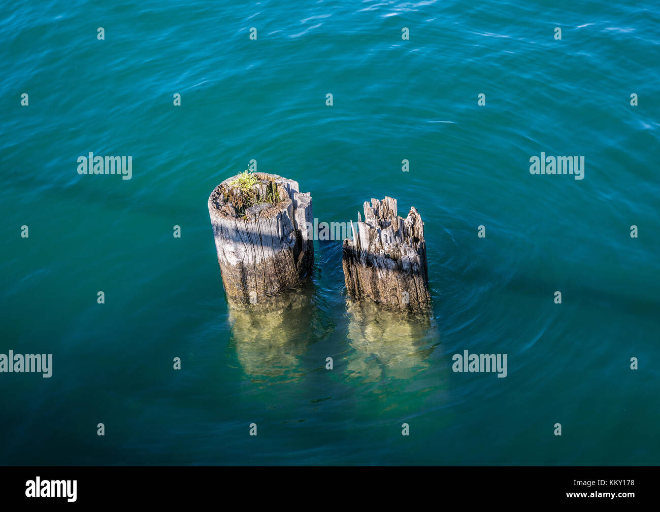 Landscape of the Lake Constance or Bodensee in Germany Stock Photo Alamy