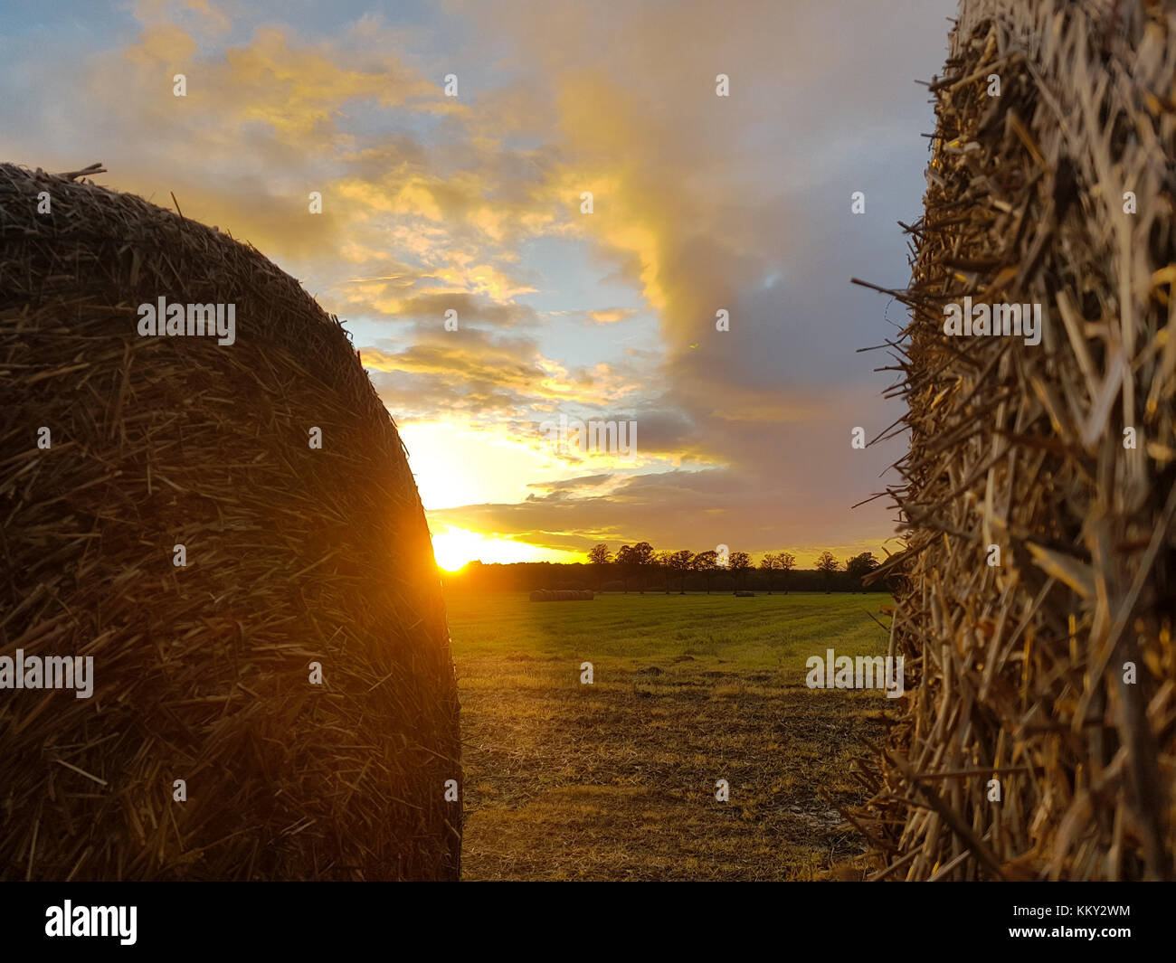 Straw bale in the sunset after harvest Stock Photo