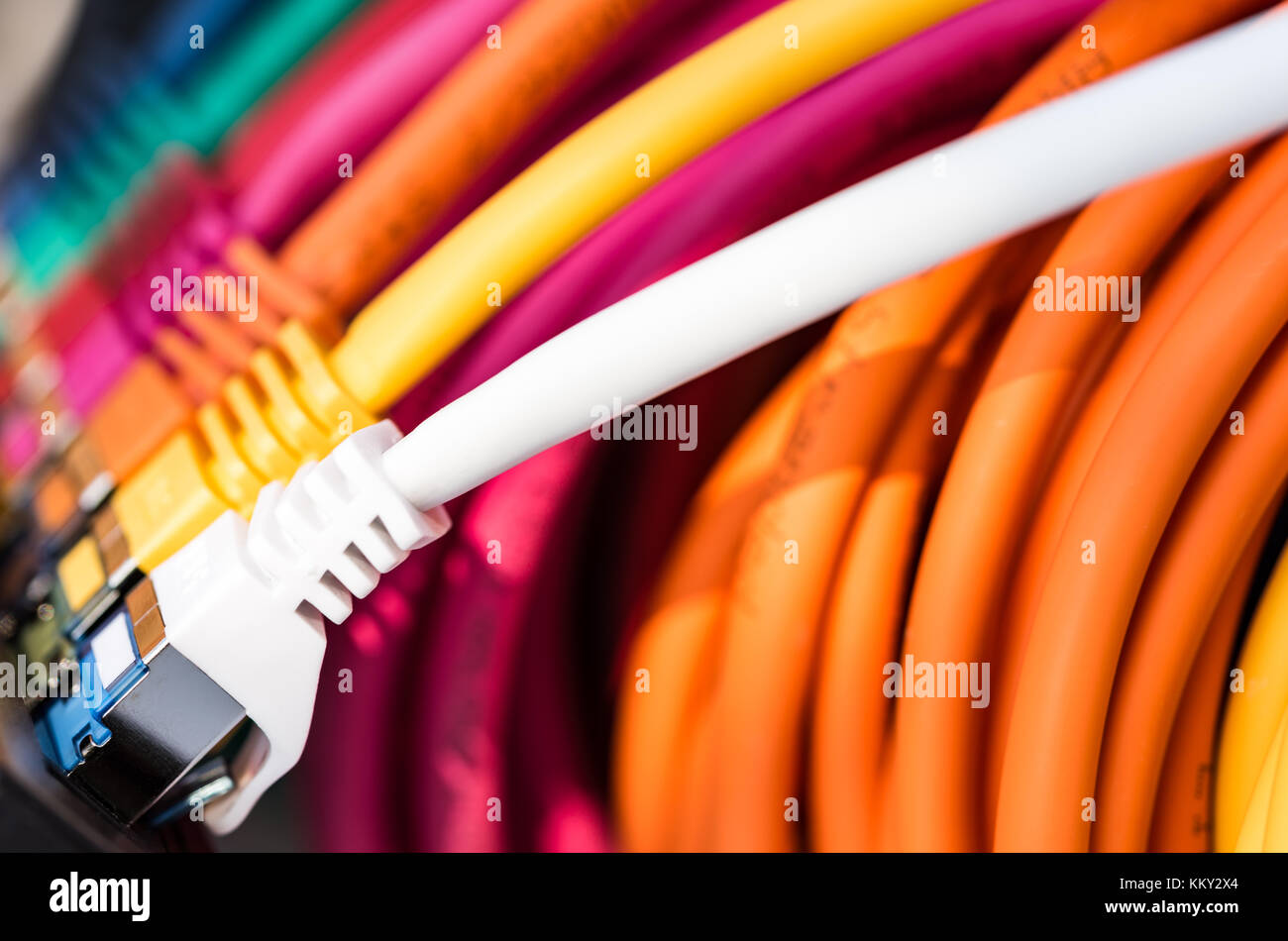 Colorful network cables connected to a switch Stock Photo