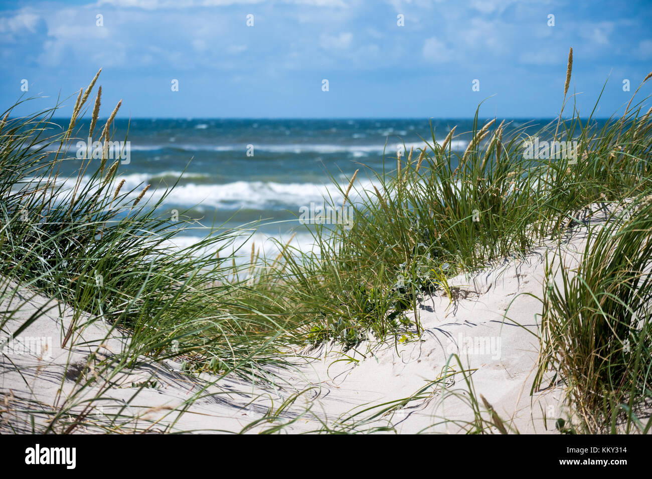 Dunes at the North Sea Stock Photo