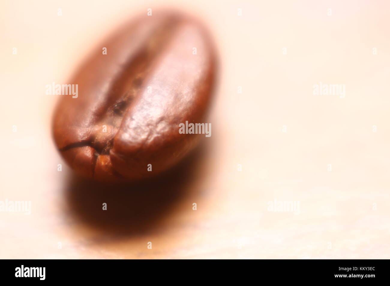 Single coffee bean with high magnification and soft focus effect creating a dream-like mood. Stock Photo