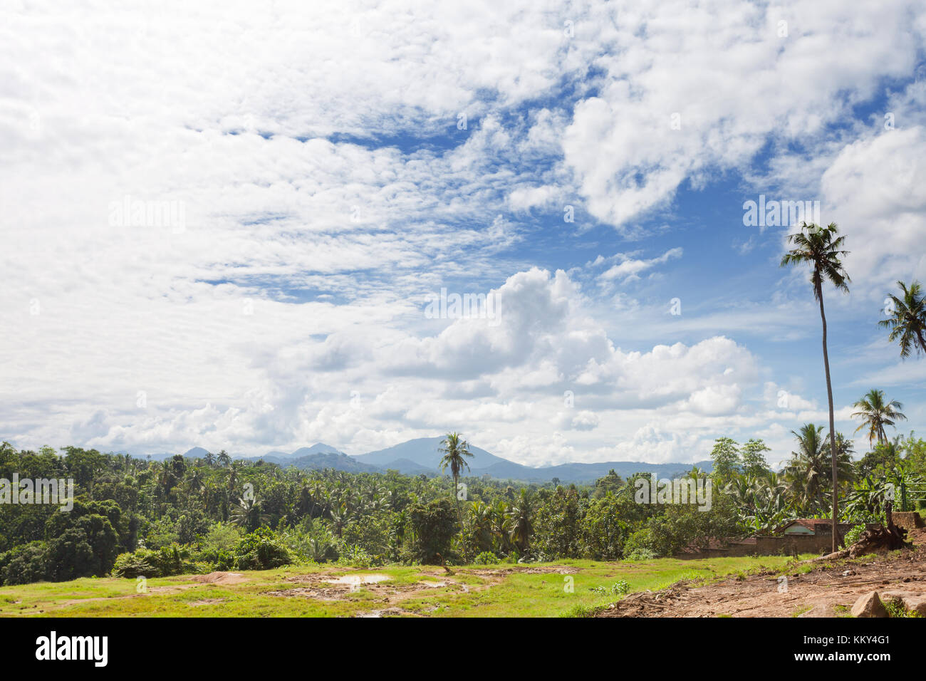 Wild landscape at Pinnawala - Sri Lanka, Asia Stock Photo