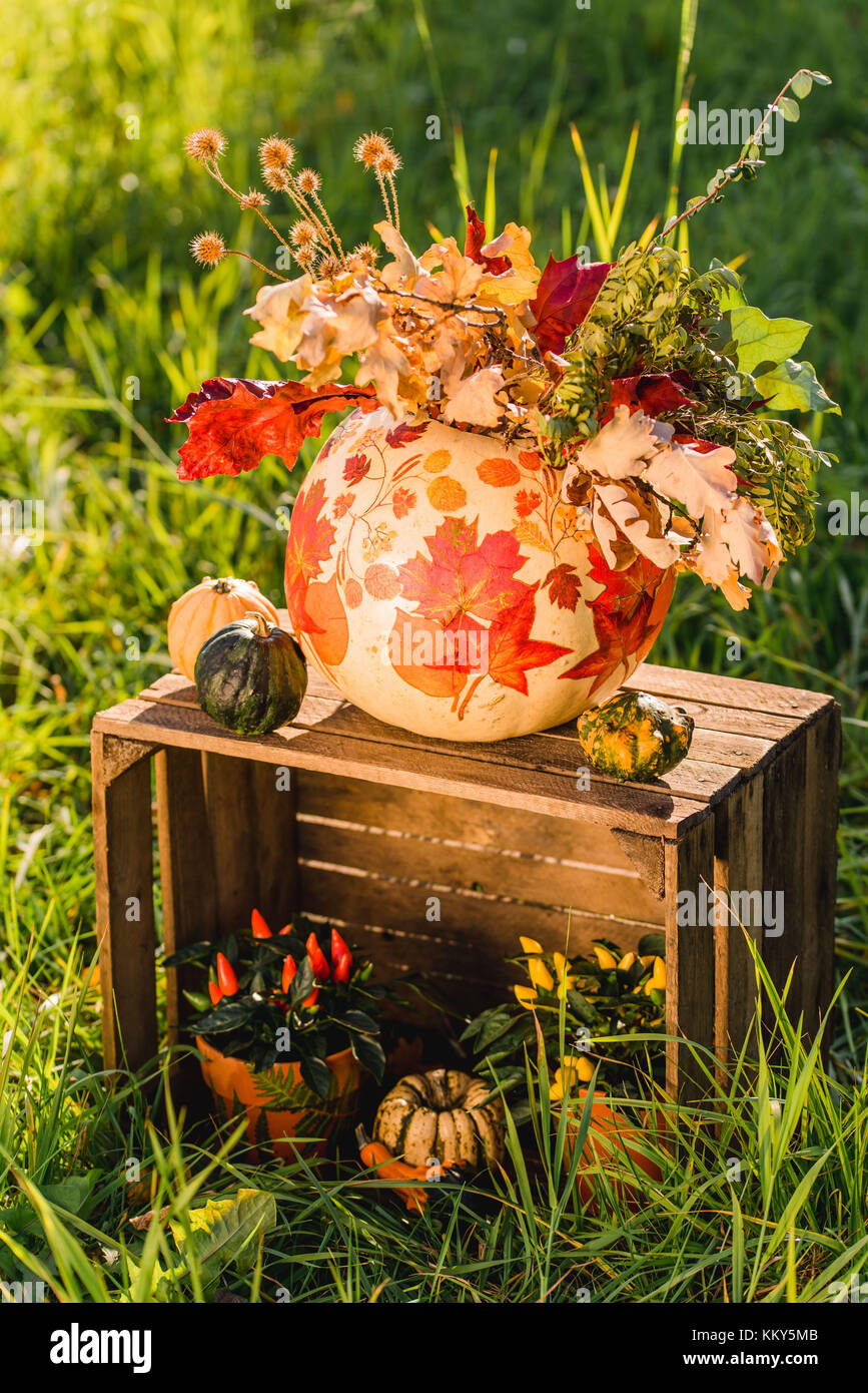 meadow, wooden box, autumnal decoration, pumpkins Stock Photo - Alamy