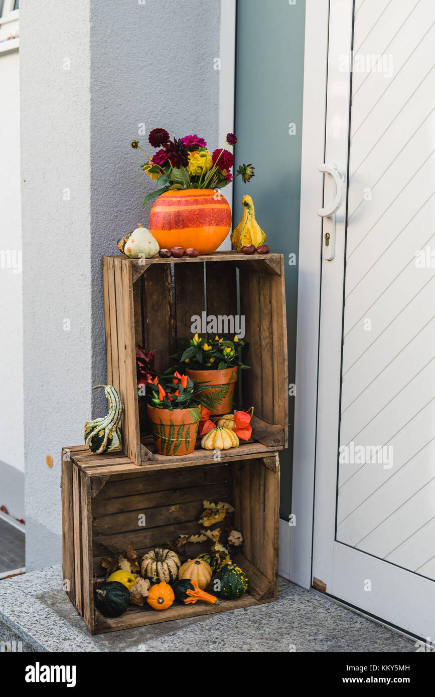 Entrance, wooden boxes, autumnal decoration, pumpkins, flowers, Stock Photo