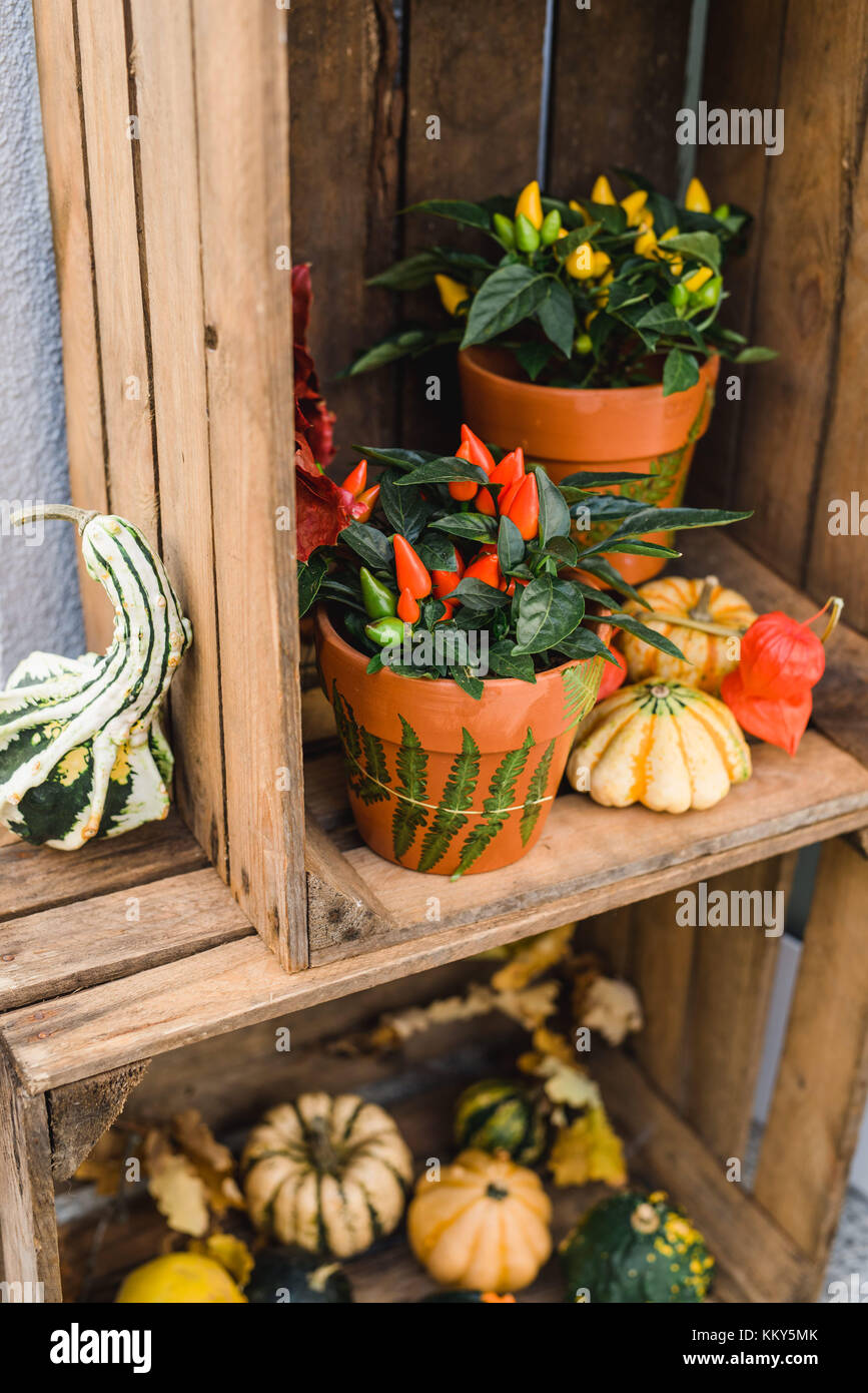 Entrance, wooden boxes, autumnal decoration, pumpkins Stock Photo - Alamy
