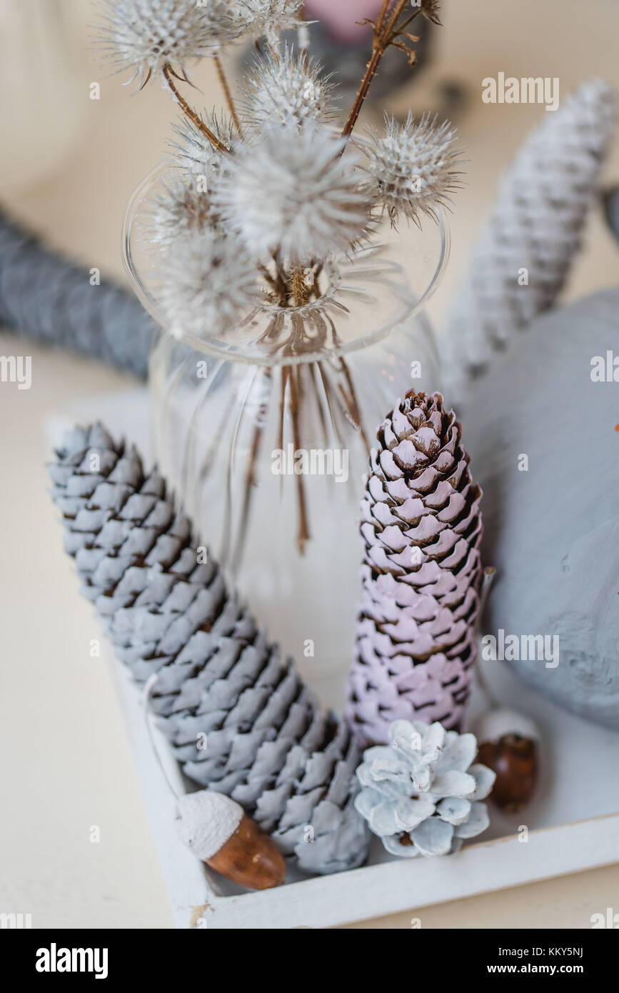 autumnal decoration, cones, thistles, pastel colours, detail, blur, Stock Photo