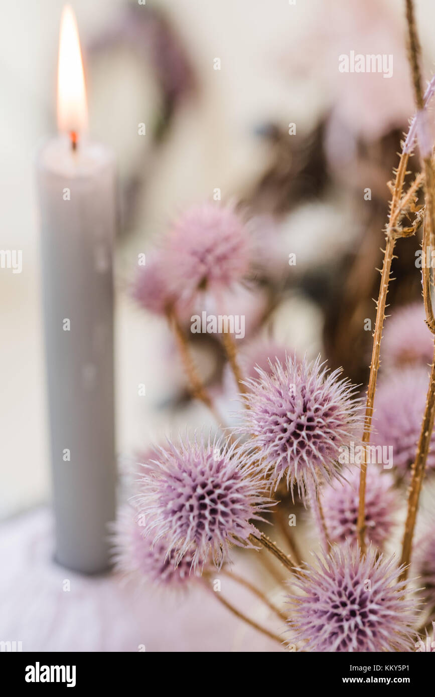 autumnal decoration, candle, thistles, pastel colours, detail, blur, Stock Photo