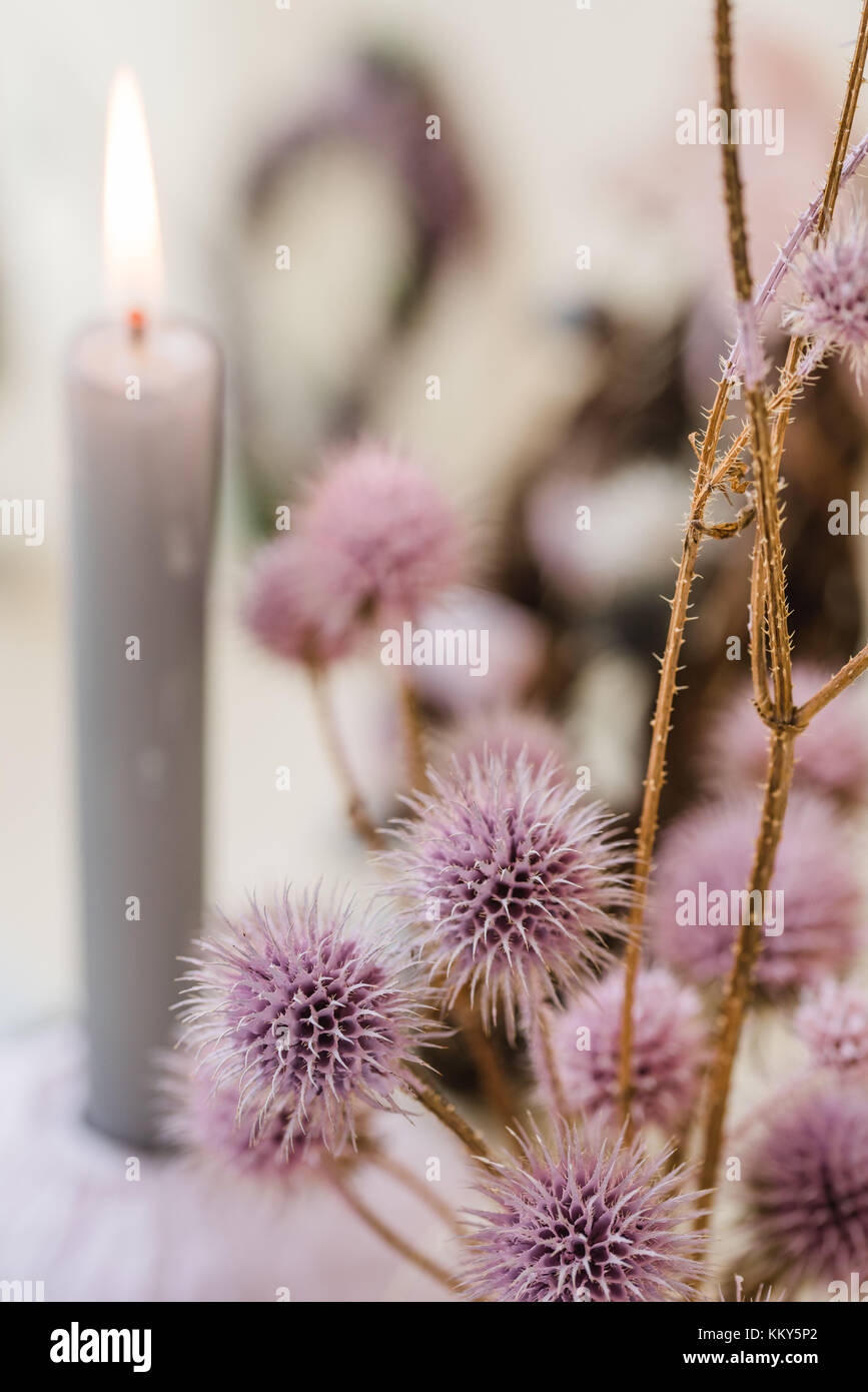 autumnal decoration, candle, thistles, pastel colours, detail, blur, Stock Photo