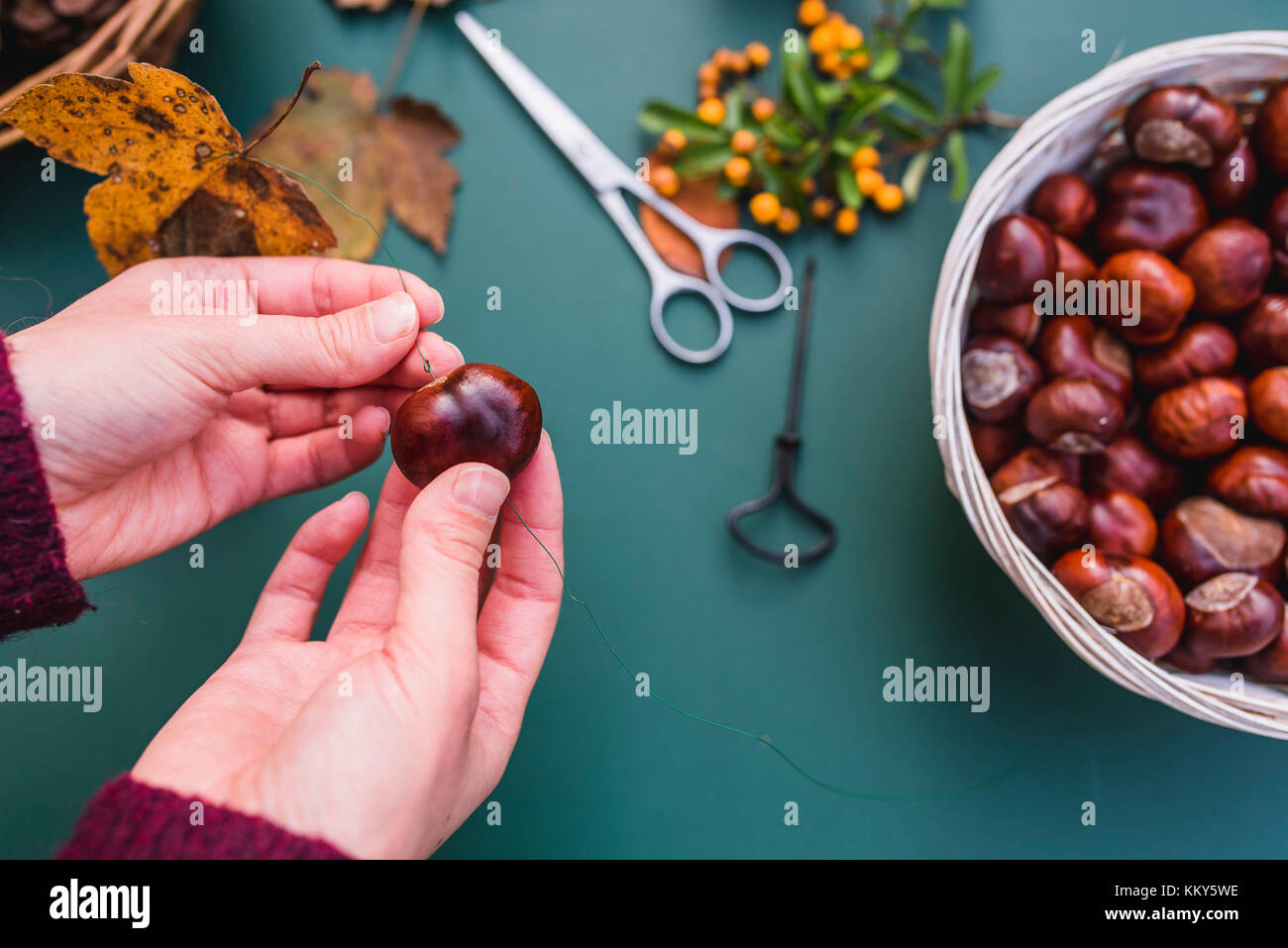 DIY, autumnal decoration, mobile, natural materials, crafting, women's hands, detail, Stock Photo