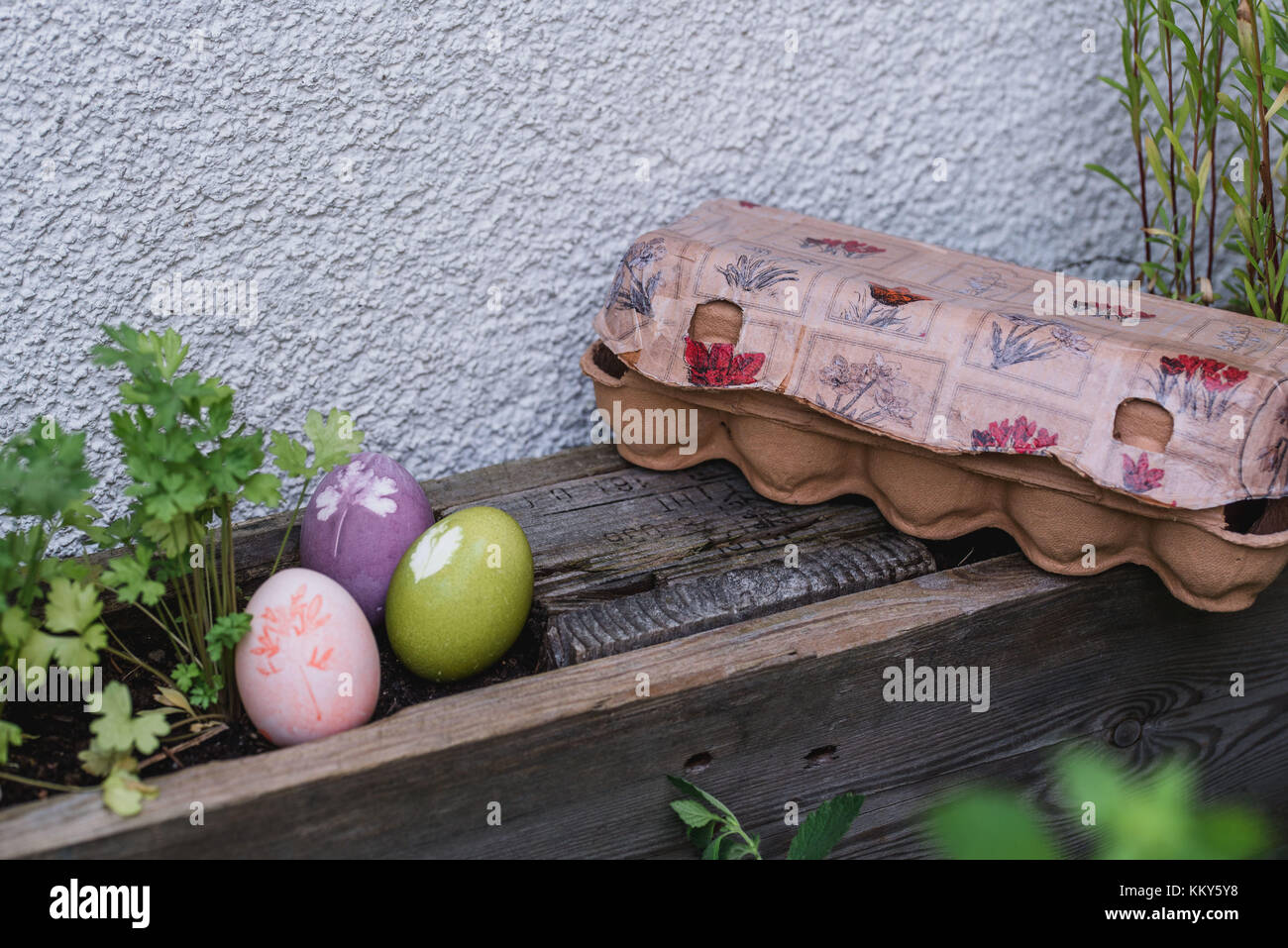 Garden, decoration, Easter eggs, egg box, Stock Photo