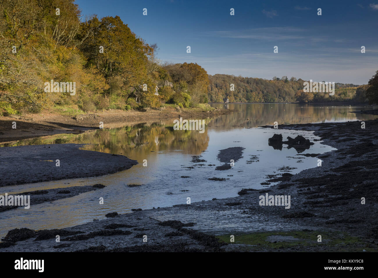 Dittisham Mill Creek, flowing into the The Dart Estuary in autumn, South Devon. Stock Photo