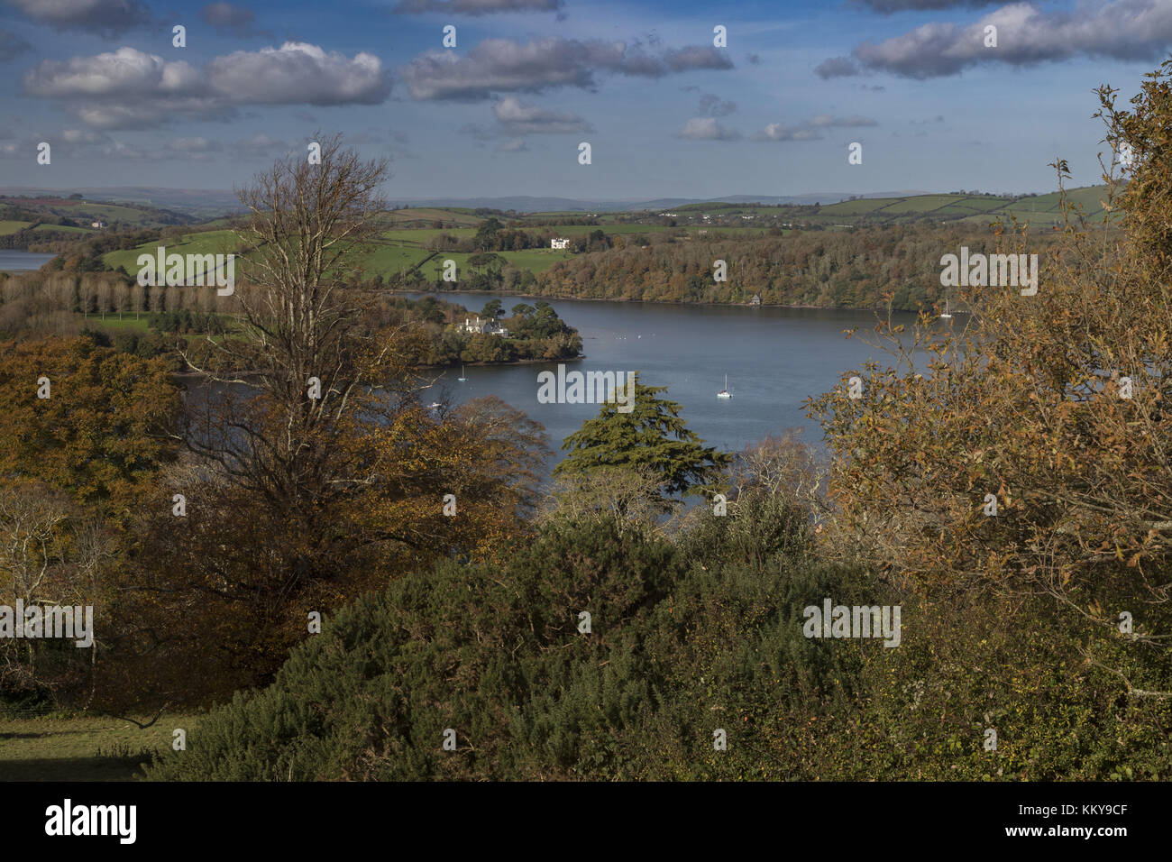 The Dart Estuary in autumn, looking westwards from above Greenway House, South Devon Stock Photo