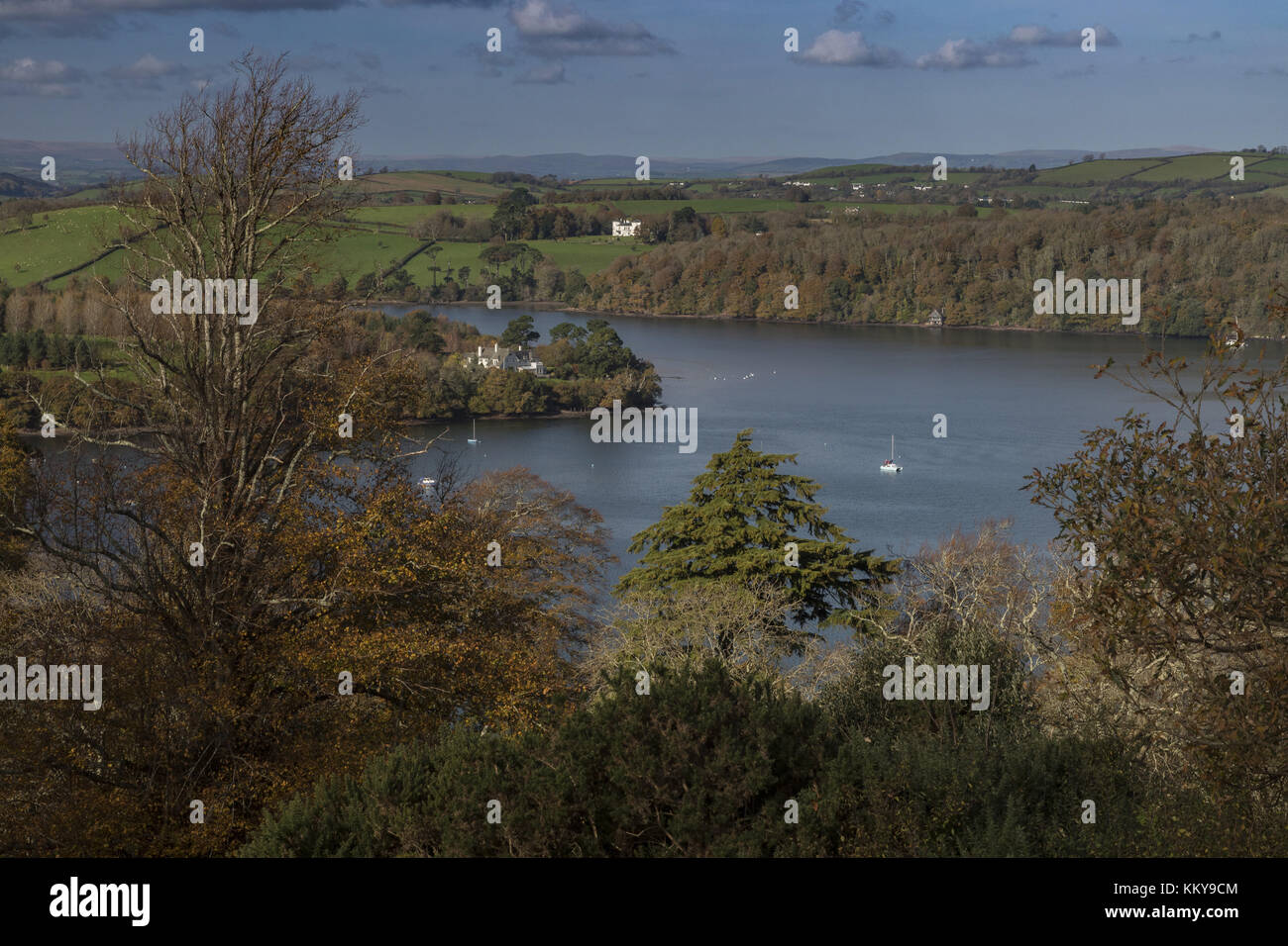 The Dart Estuary in autumn, looking westwards from above Greenway House, South Devon. Stock Photo
