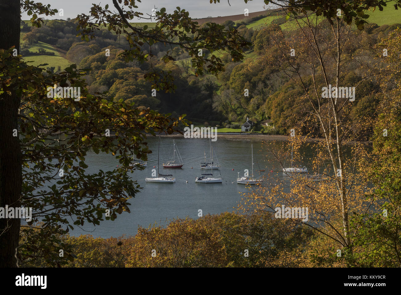 Moored boats on The Dart Estuary, looking across to Lower Kilngate in autumn, South Devon. Stock Photo