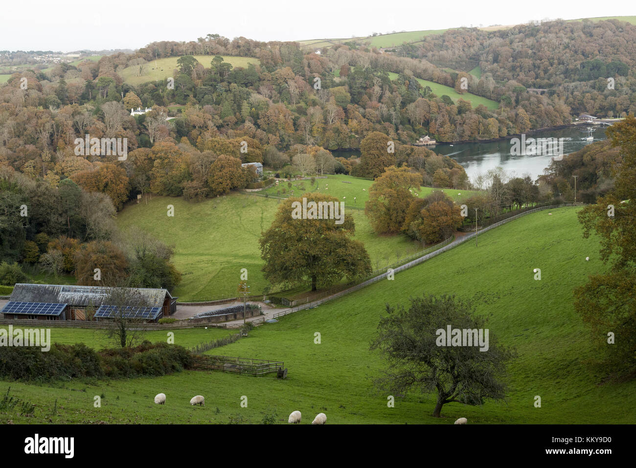 The Dart Estuary in autumn, looking from above Dittisham east to Greenway House, South Devon. Stock Photo