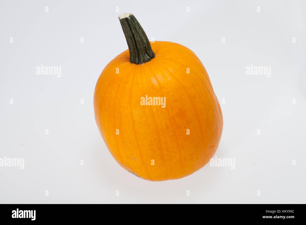 Fresh orange pumpkin isolated on white background Stock Photo - Alamy