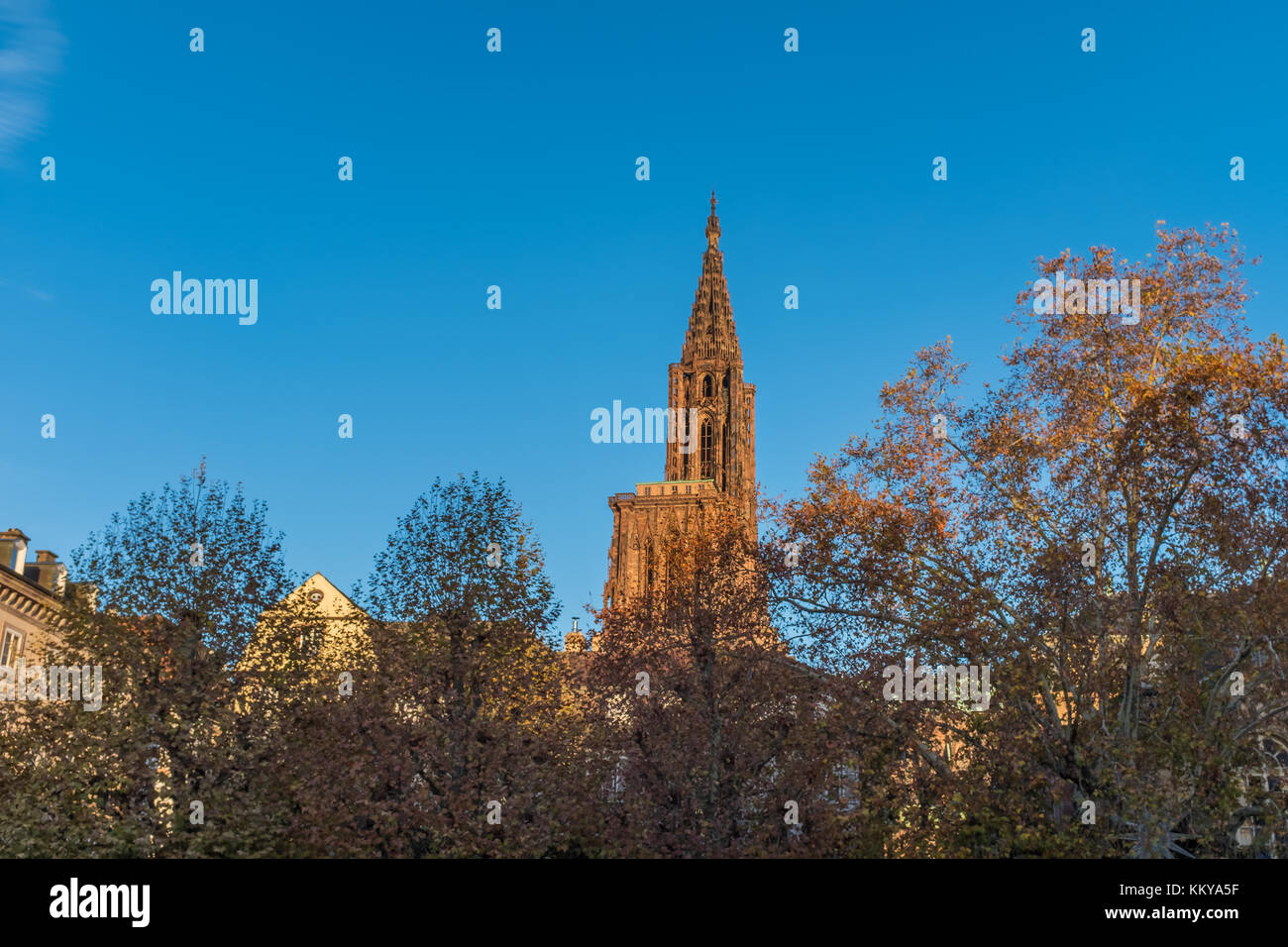 Pink Vosges Sandstone High Resolution Stock Photography and Images - Alamy