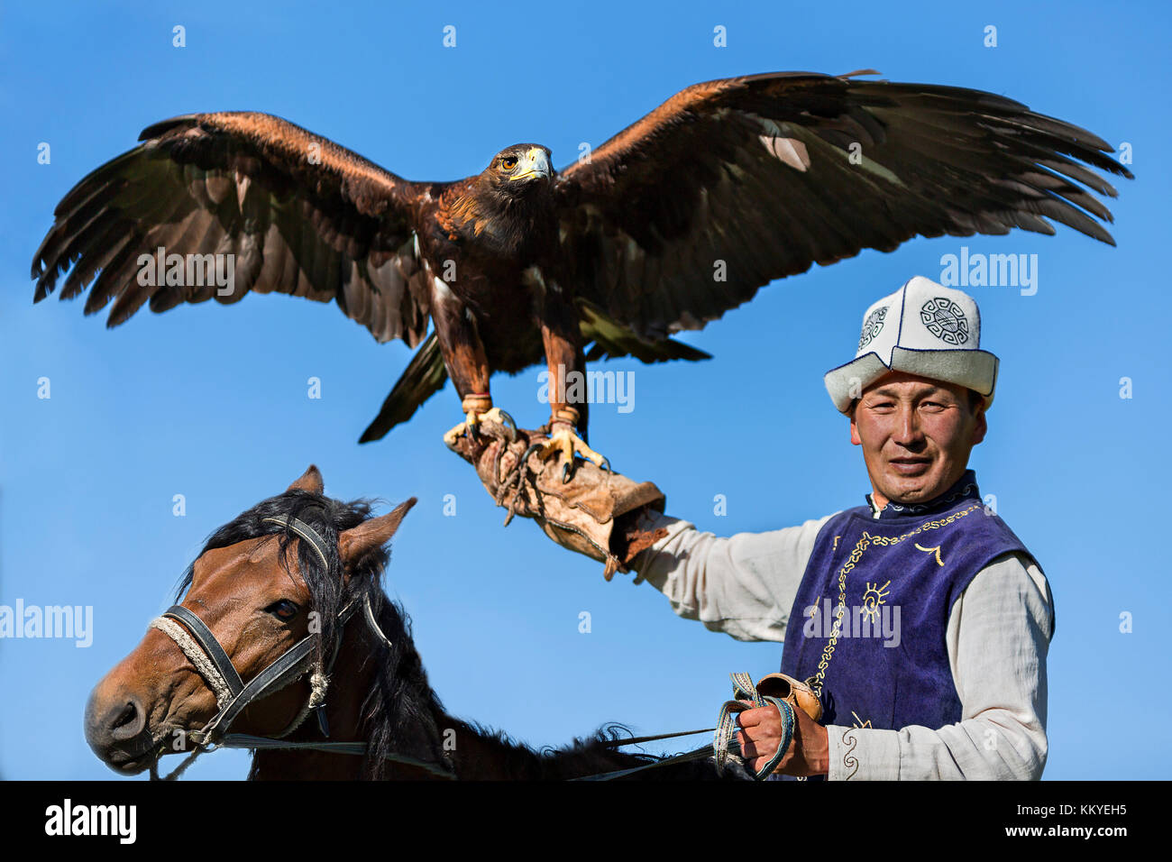 Golden eagle trainer holding his eagle during eagle hunter games in Issuk Kul Lake, Kyrgyzstan. Stock Photo
