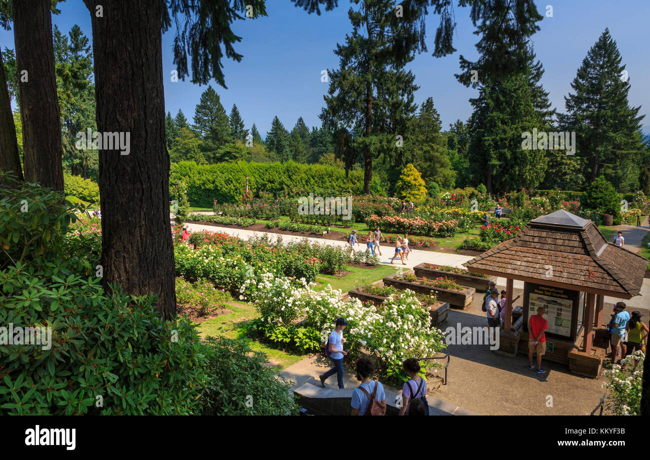 International Rose Test Garden, Portland, Oregon, USA Stock Photo