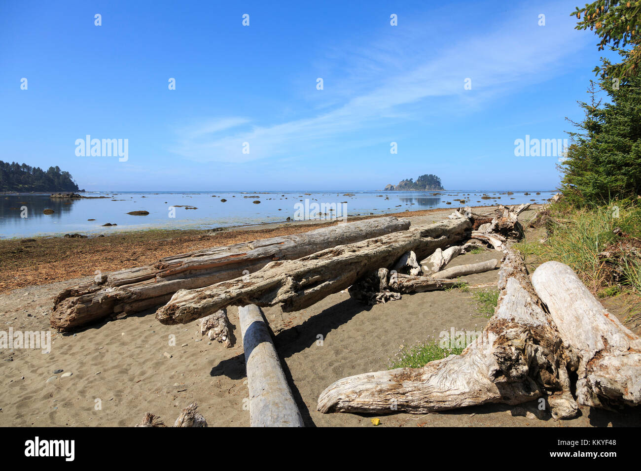 Westernmost point in the contiguous 48 states,  , Olympic National Park, Washington, USA Stock Photo