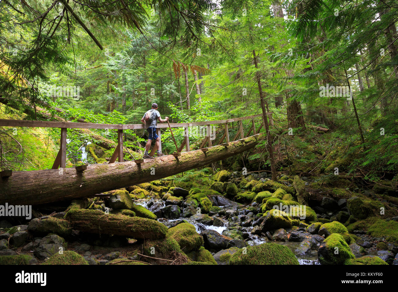 Strathcona Proviental Park, Vancouver Island, British Columbia, Canada Stock Photo