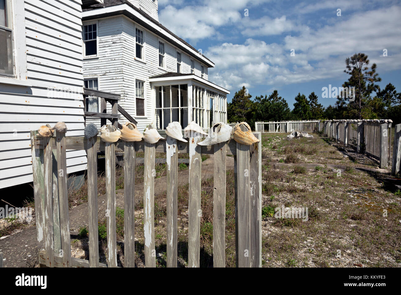 NC01000-00...NORTH CAROLINA -  The Fence decorated with whelk shells at the old Life Saving Station/Coast Guard Station now preserved in the Cape Look Stock Photo