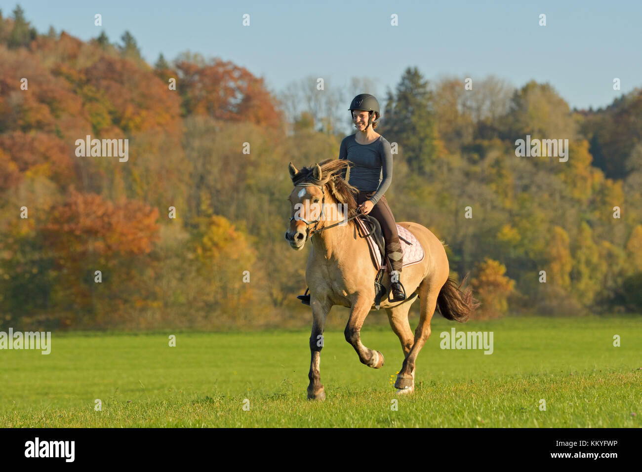 Rider horse riding autumn hi-res stock photography and images - Alamy