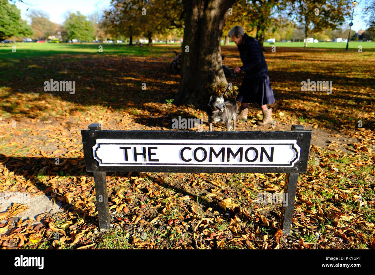 Ealing Common, London, United Kingdom Stock Photo Alamy