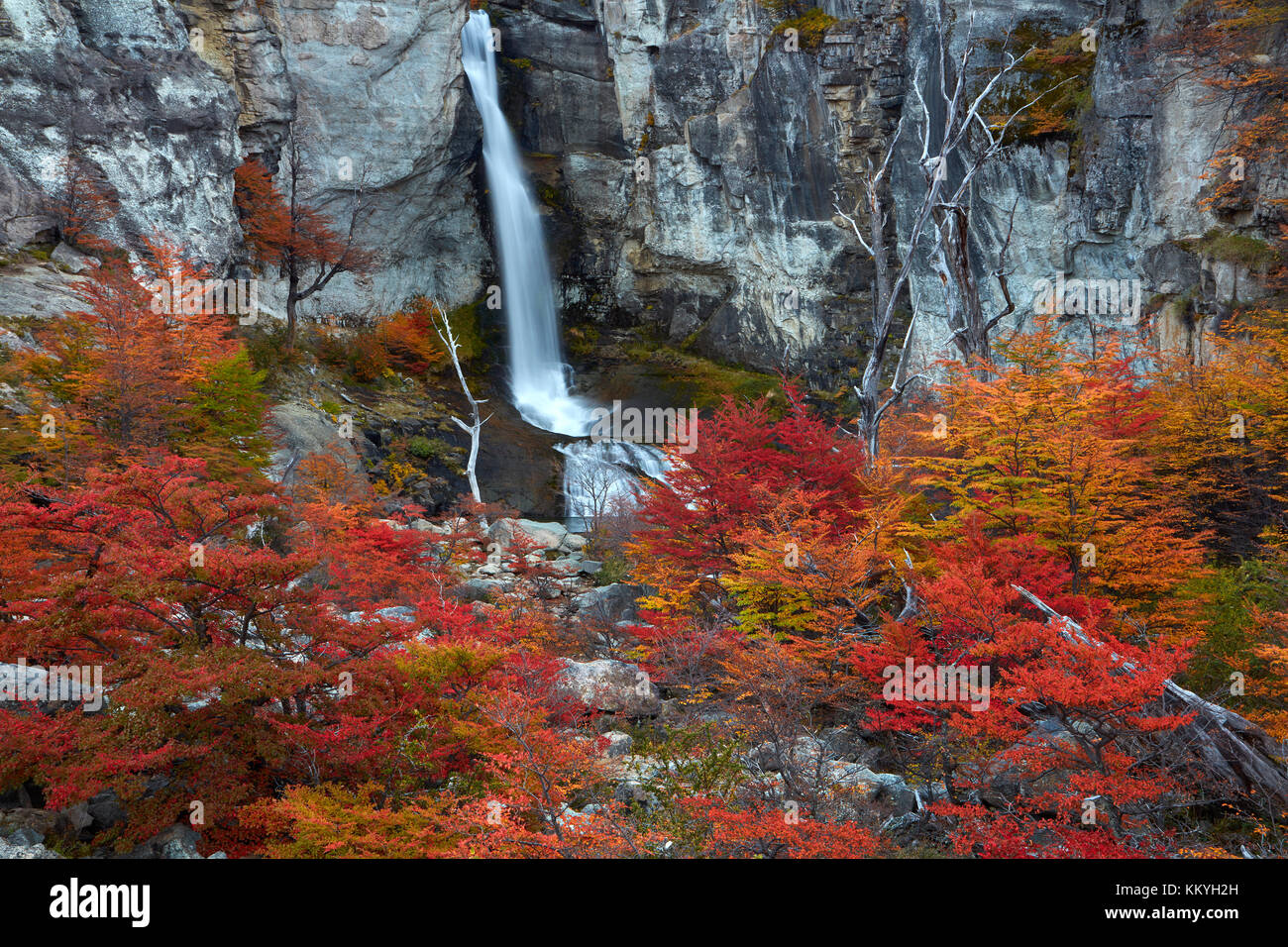 El Chorrillo Waterfall and lenga trees in autumn, near El Chalten, Parque Nacional Los Glaciares, Patagonia, Argentina, South America Stock Photo