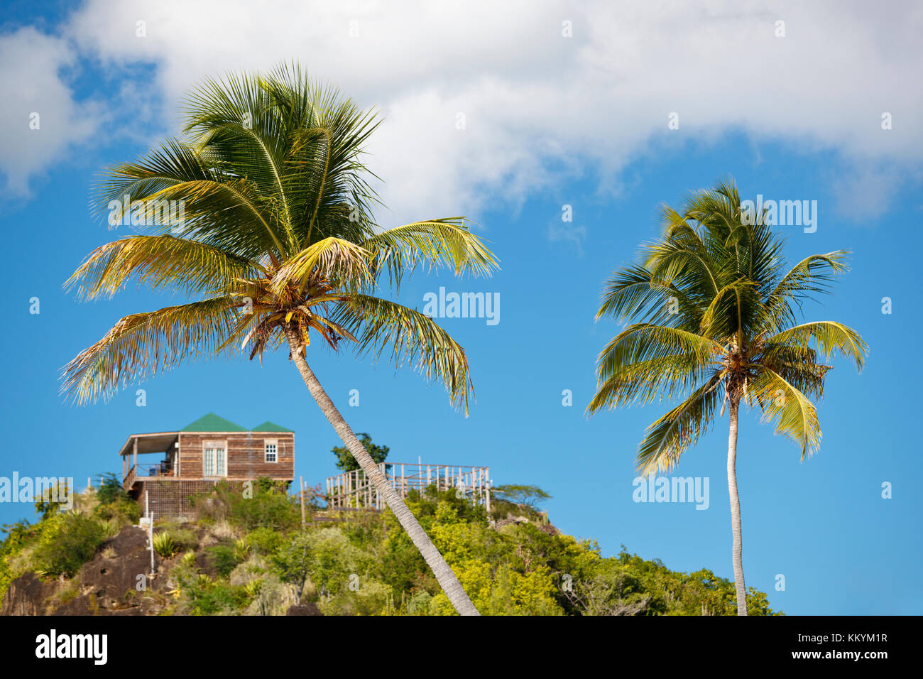 Coconut palm trees in front of blue sky and a bungalow on top of a hill. Stock Photo