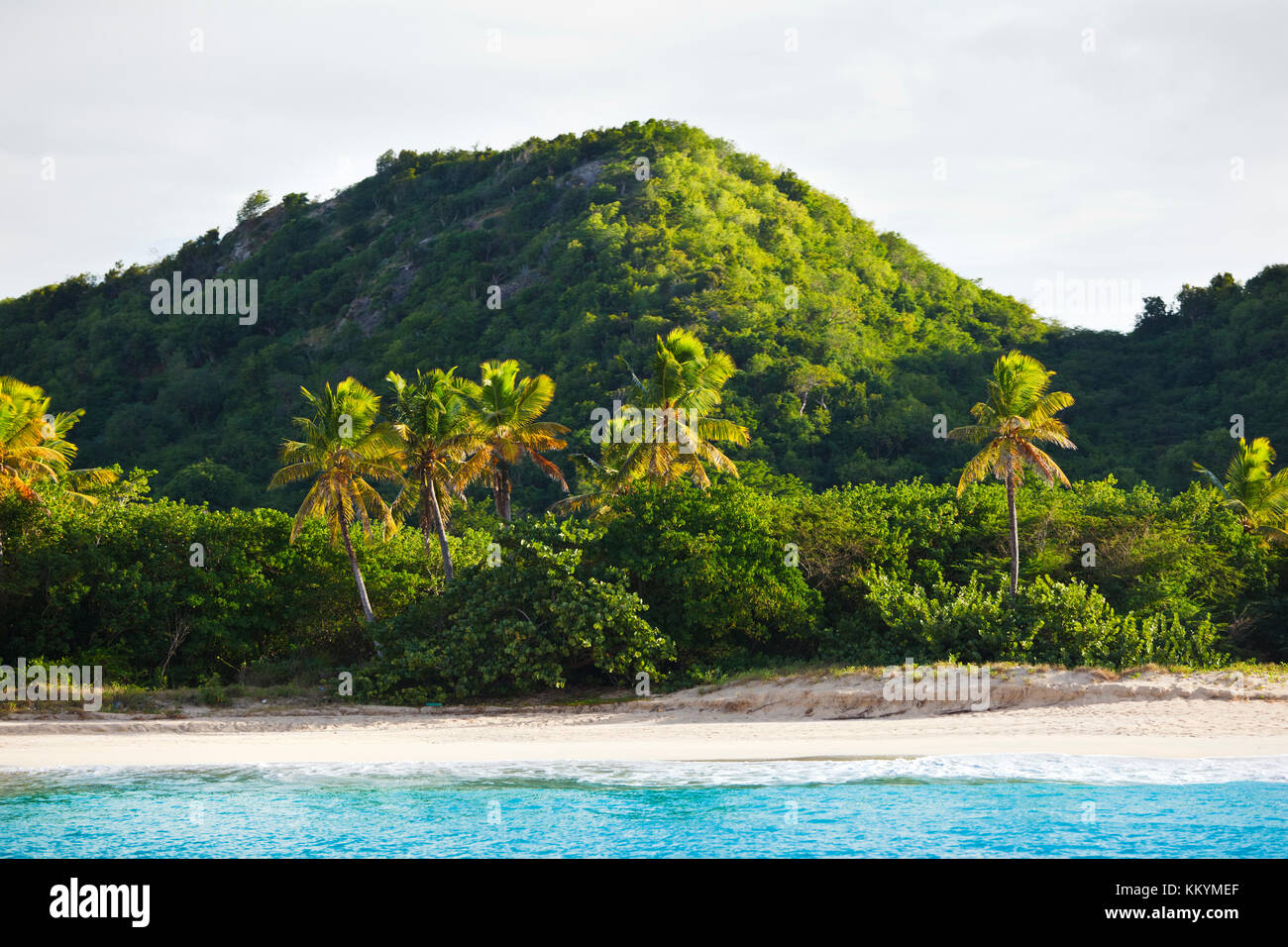 View to an Antiguan beach from a boat. Stock Photo