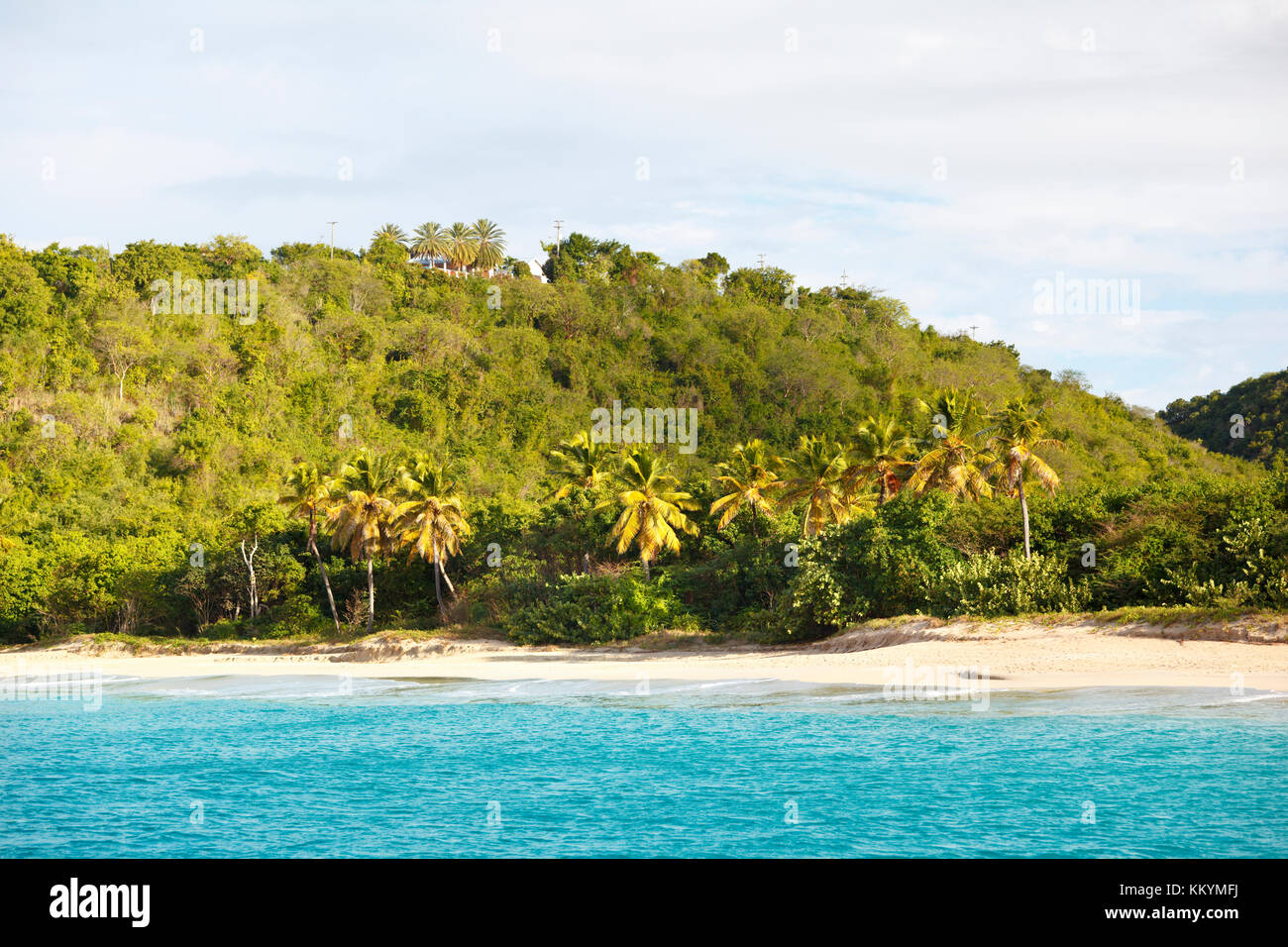 View to an Antiguan beach from a boat. Stock Photo