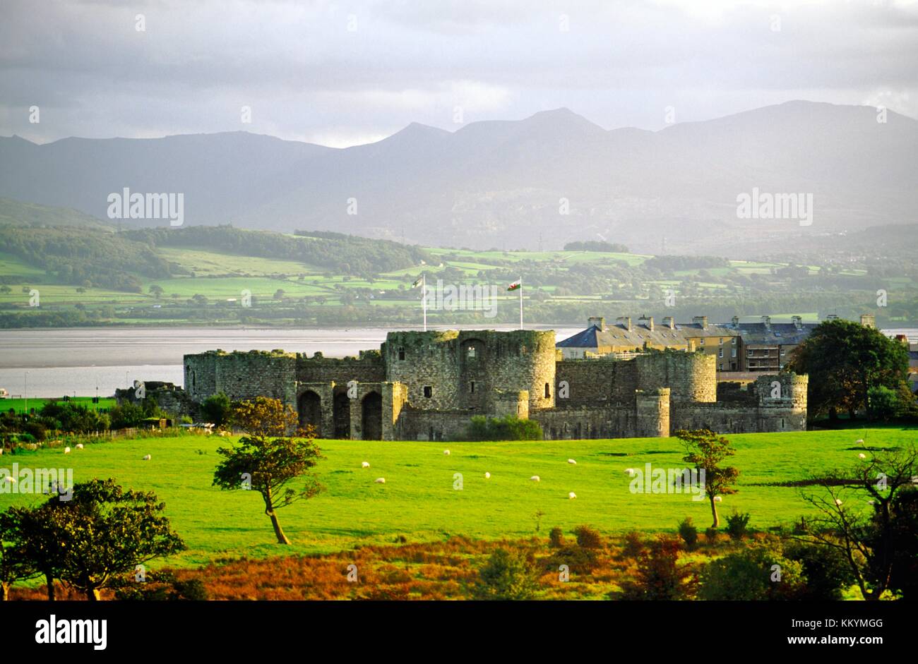 Personals in beaumaris