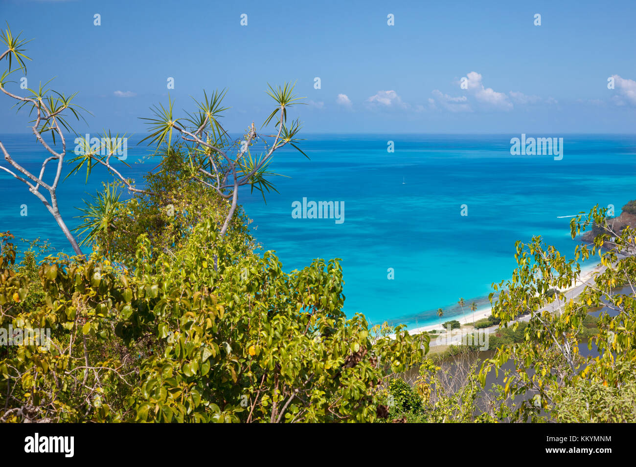 Darkwood Beach with palm trees seen from an observation point in Antigua. Stock Photo